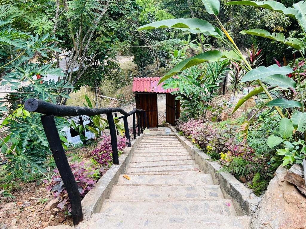 Minca Cabana La Roca Санта-Марта Экстерьер фото